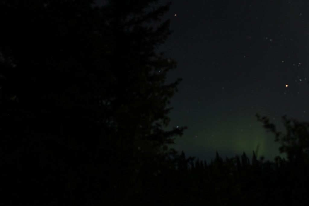 Northern Lights (aurora borealis) on a summer night in the Yukon